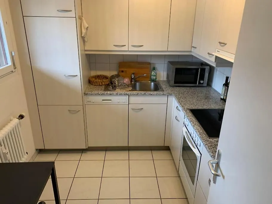 Cozy Flat In The Center Of Kleinbasel Apartman